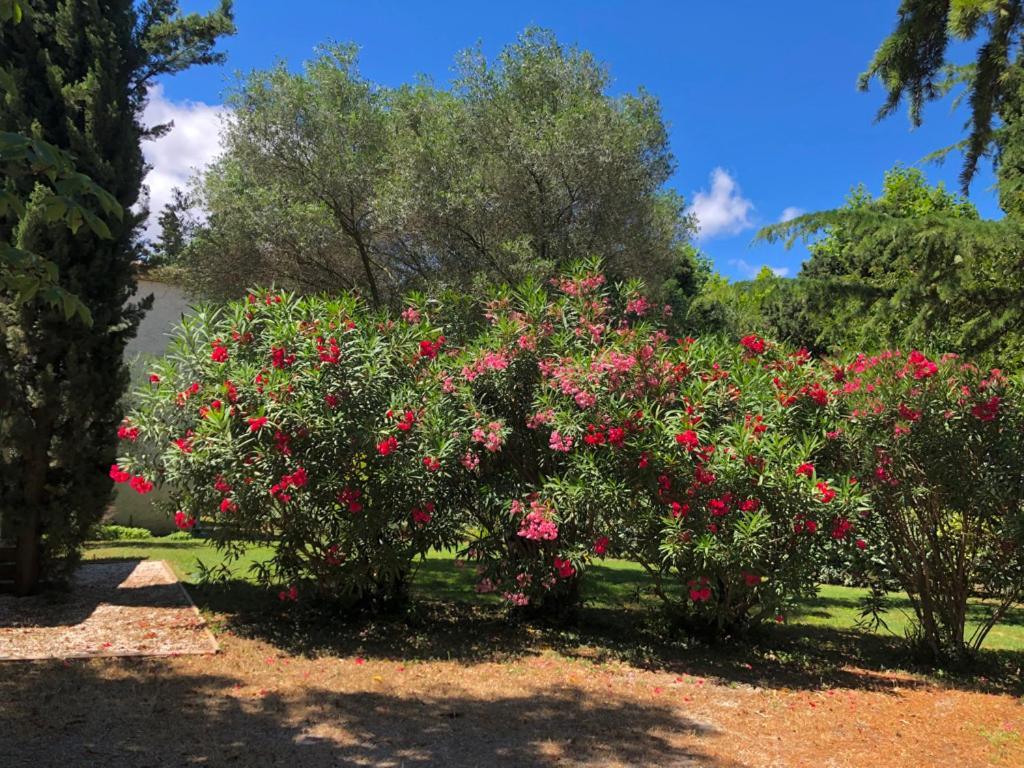 לינה וארוחת בוקר Bizanet Le Nid Des Corbieres מראה חיצוני תמונה
